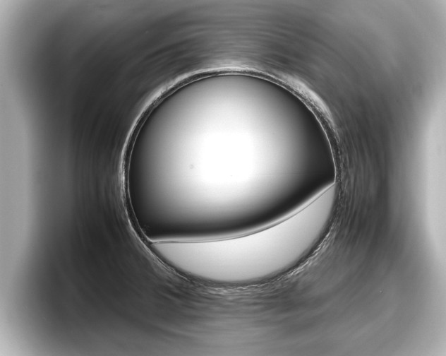X0000096671380200802051001