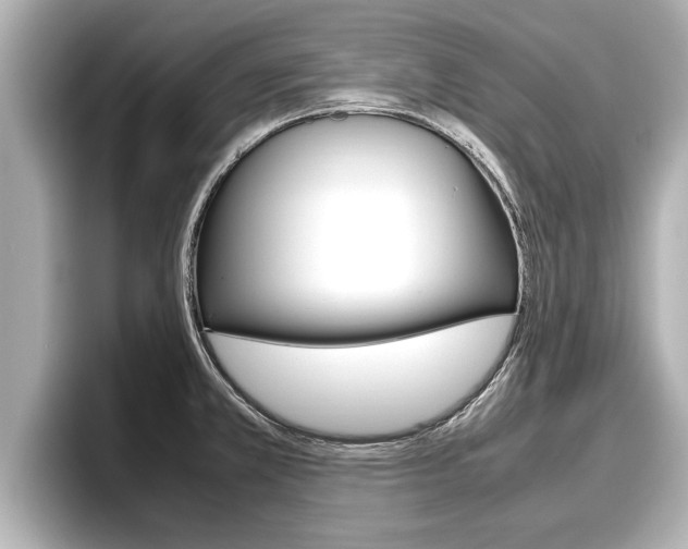 X0000096671381200802051001