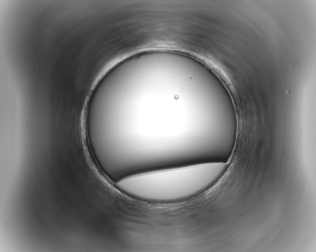 X0000096671382200802051001