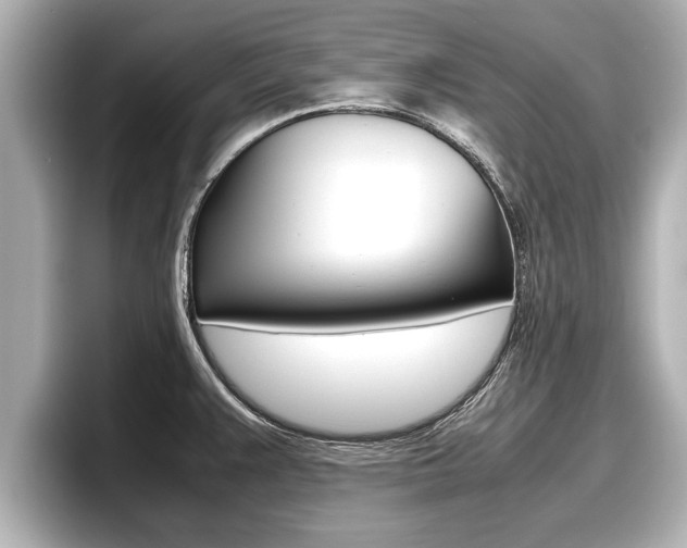 X0000096671383200802051001