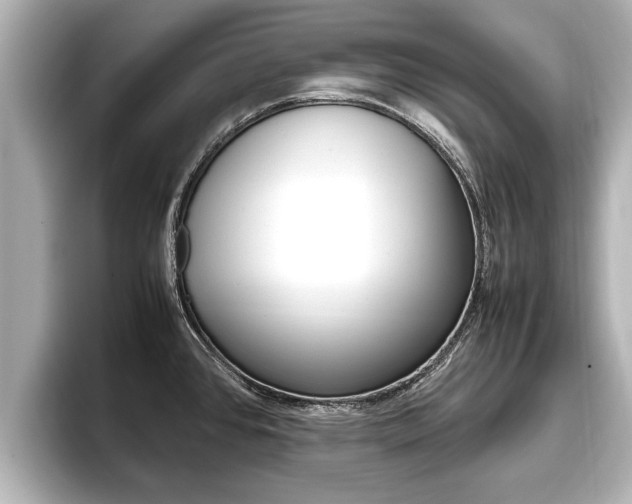 X0000096671384200802051001