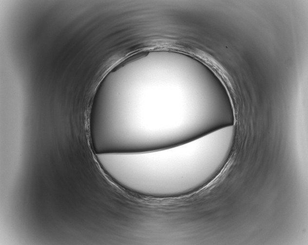 X0000096671385200802051001