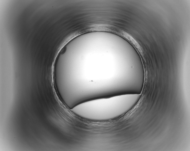 X0000096671386200802051001