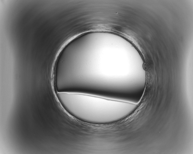X0000096671387200802051001