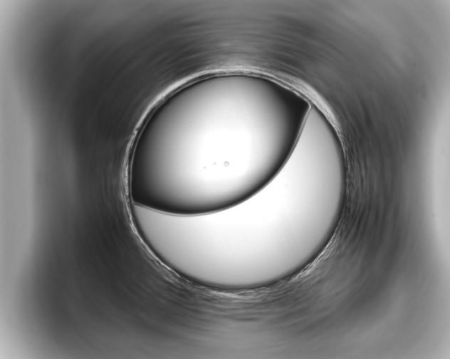 X0000096671388200802051001