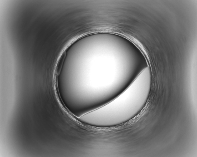 X0000096671389200802051001