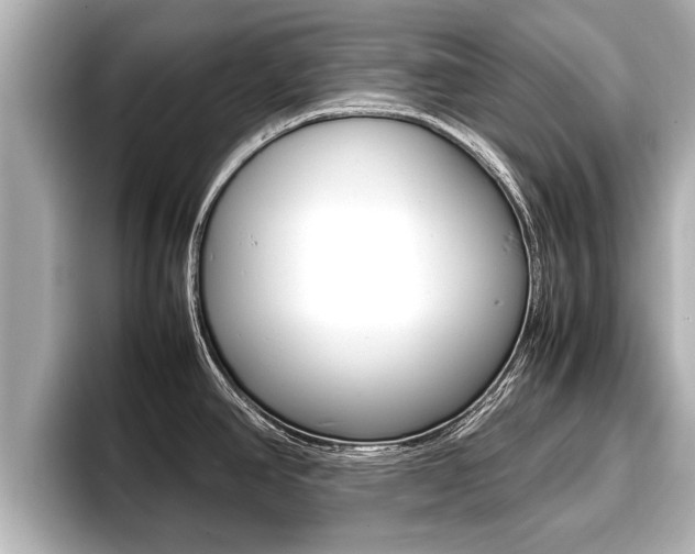 X0000096671390200802051001