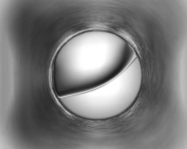 X0000096671391200802051001