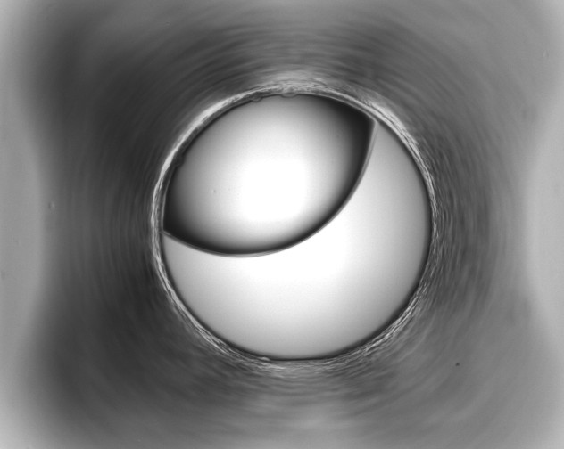 X0000096671392200802051001