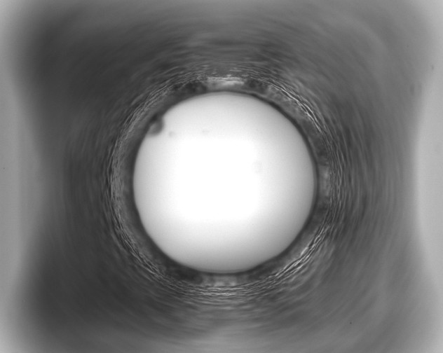 X0000096671393200802051000