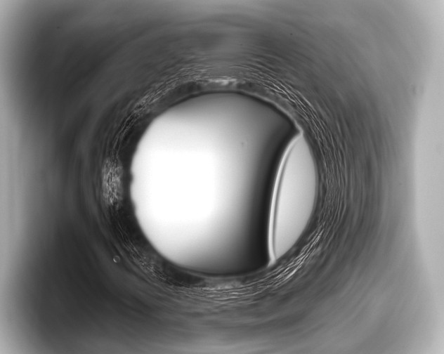 X0000096671394200802051000