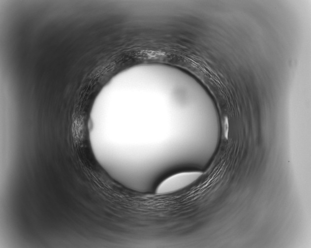 X0000096671395200802051000