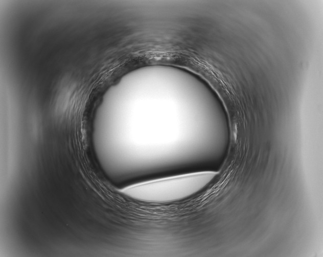 X0000096671396200802051000