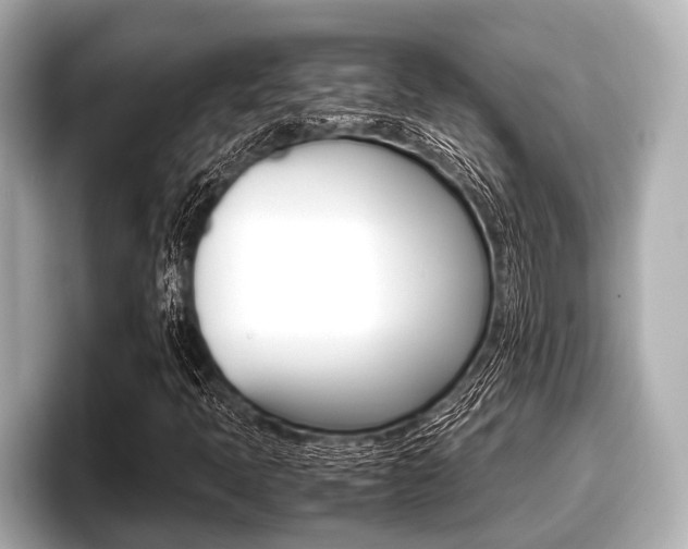 X0000096671397200802051000