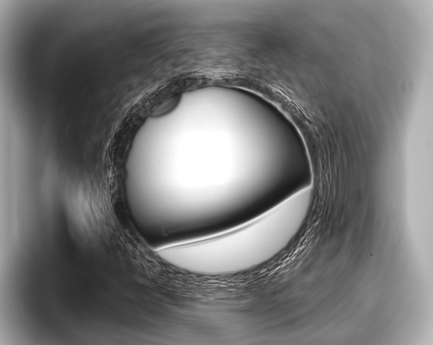X0000096671398200802051000