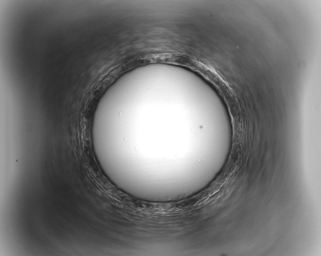 X0000096671399200802051000