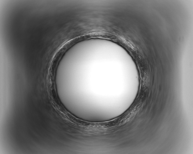 X0000096671400200802051000