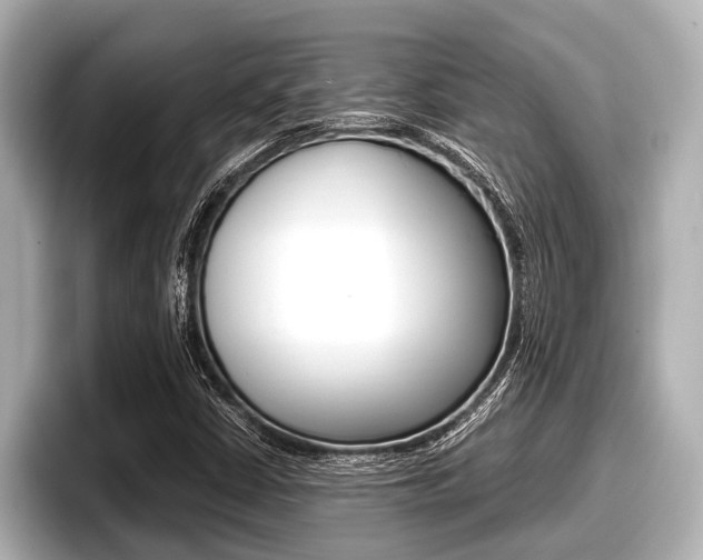 X0000096671402200802051000