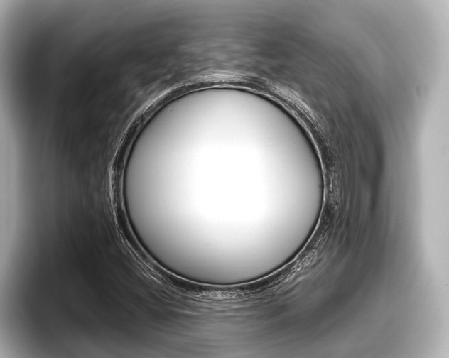 X0000096671404200802051000
