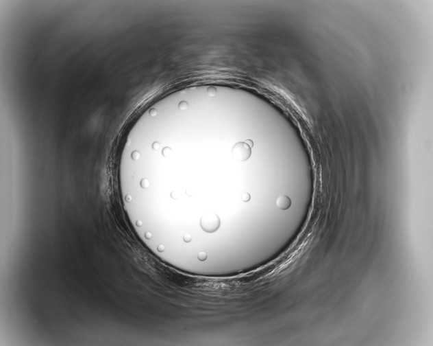 X0000096671405200802051000