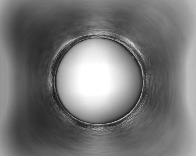 X0000096671408200802051000