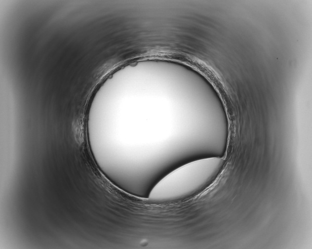 X0000096671409200802051000