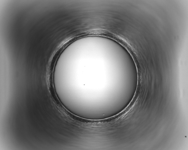 X0000096671410200802051001