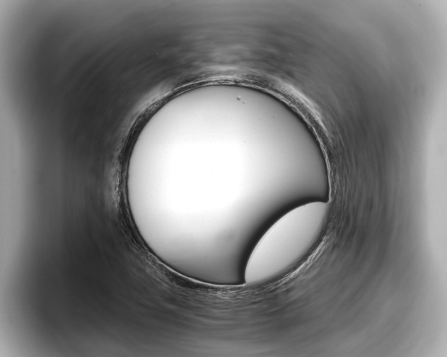 X0000096671411200802051001