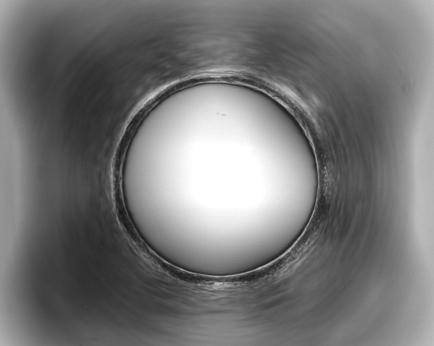 X0000096671412200802051001