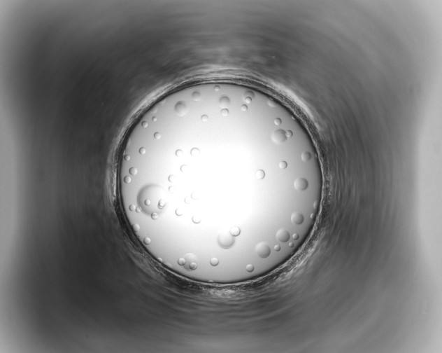 X0000096671413200802051001