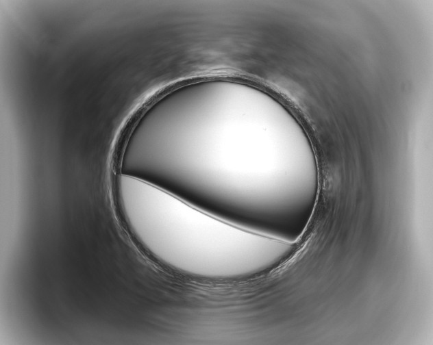 X0000096671414200802051001
