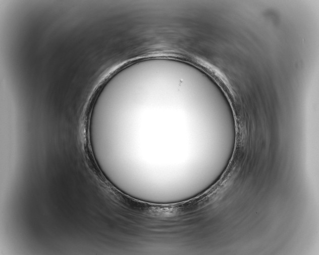 X0000096671415200802051001