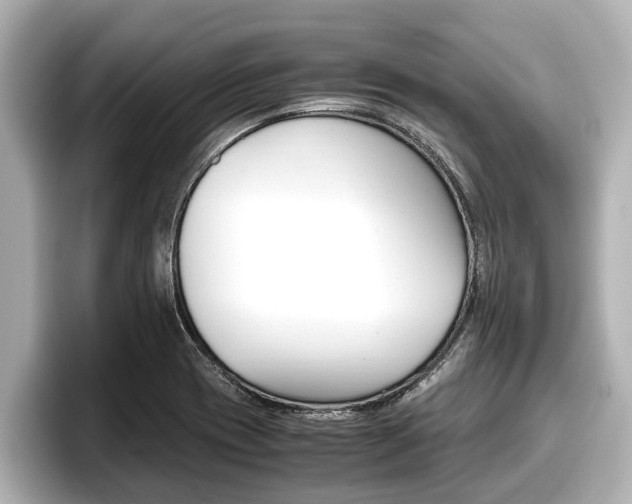 X0000096671417200802051001
