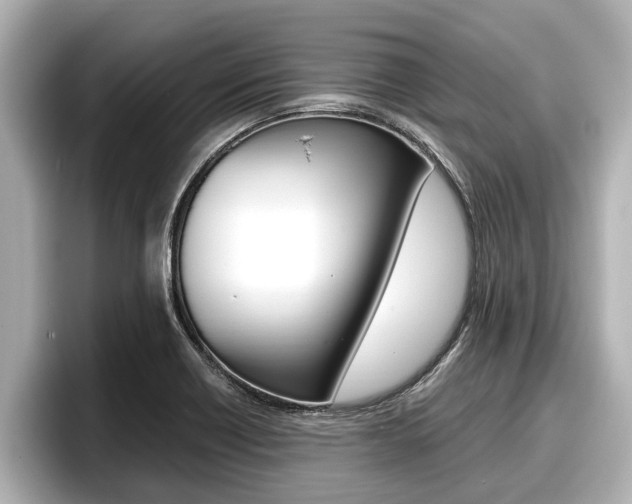 X0000096671418200802051001