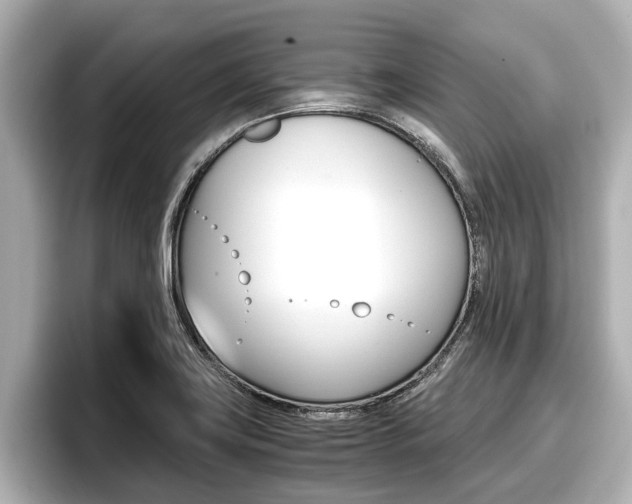 X0000096671419200802051001