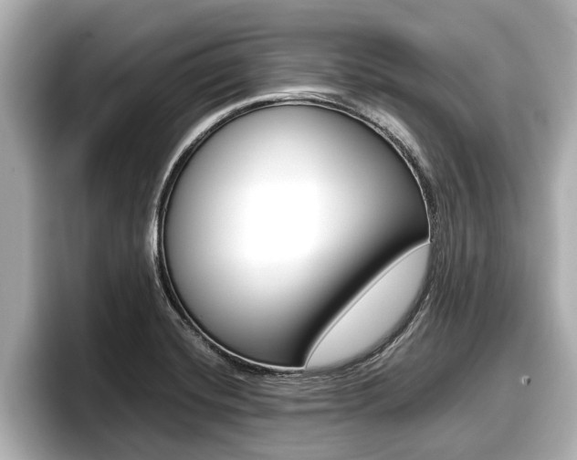 X0000096671420200802051001