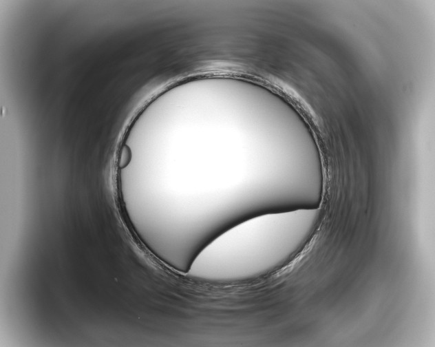 X0000096671421200802051001
