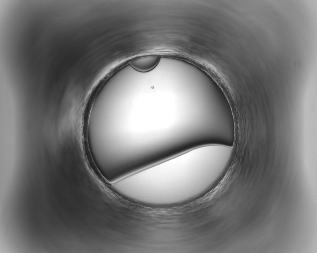 X0000096671422200802051001