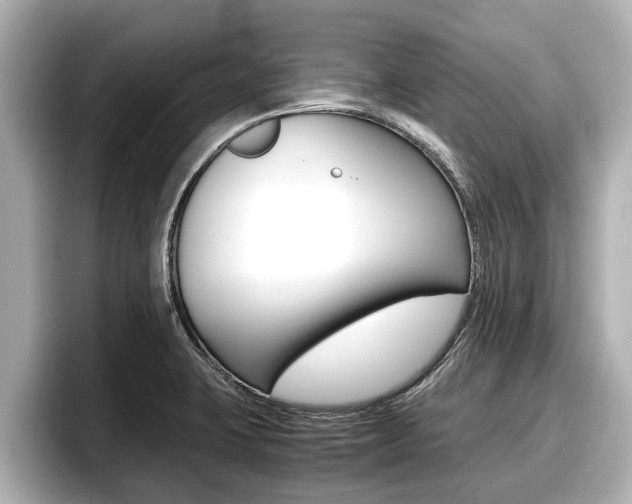 X0000096671423200802051001