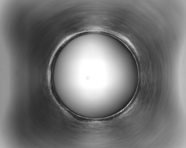 X0000096671424200802051001