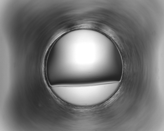 X0000096671426200802051001