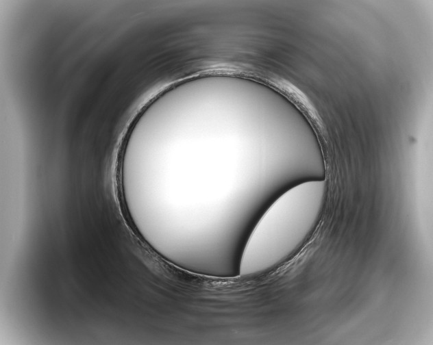 X0000096671427200802051001