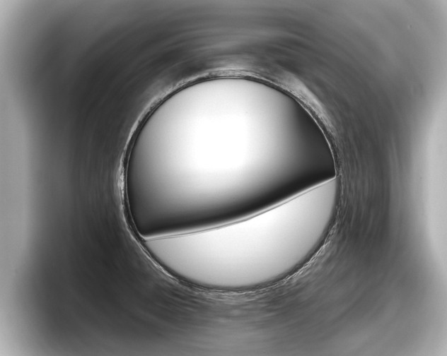X0000096671428200802051001