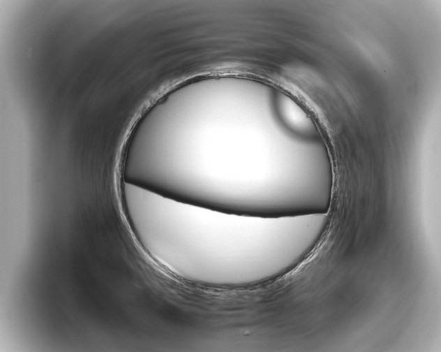 X0000096671429200802051001