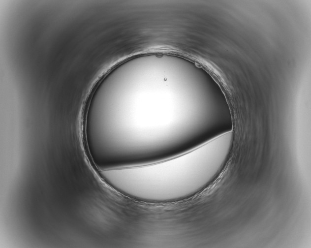 X0000096671430200802051001