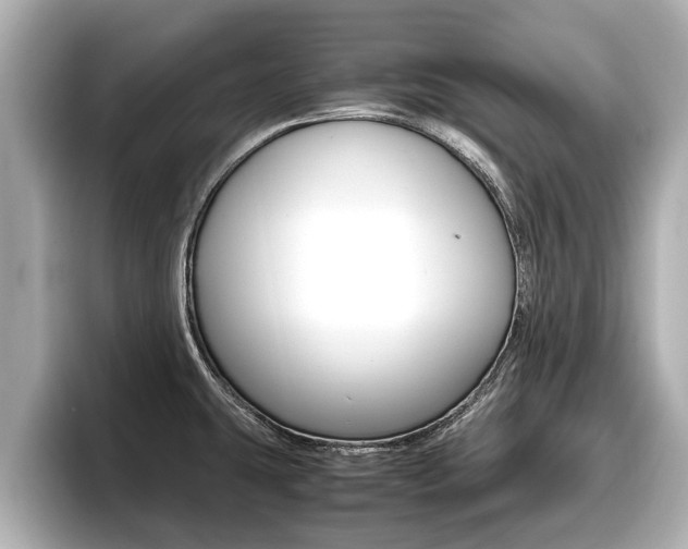 X0000096671431200802051001