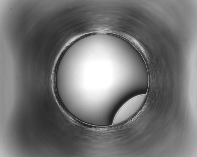 X0000096671432200802051001