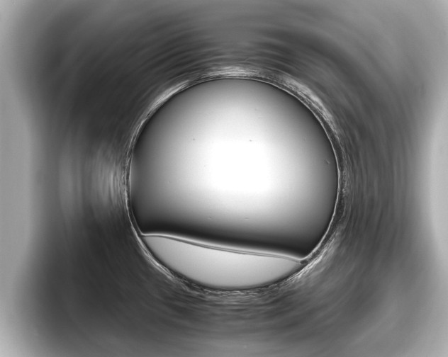 X0000096671433200802051001