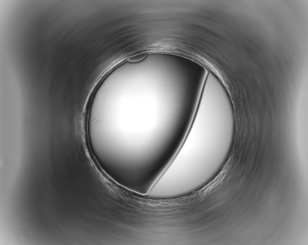 X0000096671434200802051001