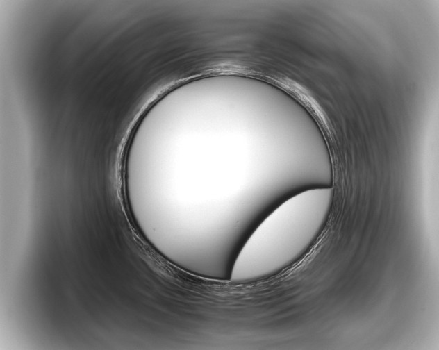 X0000096671435200802051001